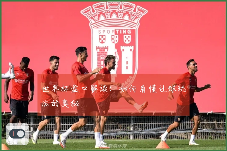 世界杯盘口解读：如何看懂让球玩法的奥秘