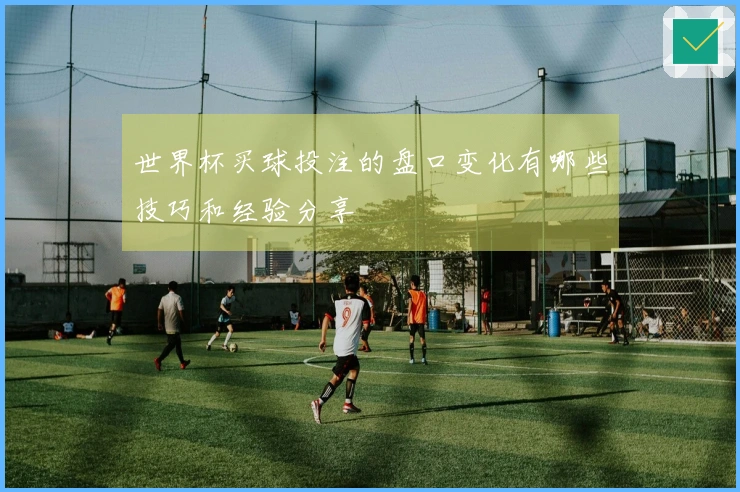 世界杯买球投注的盘口变化有哪些技巧和经验分享