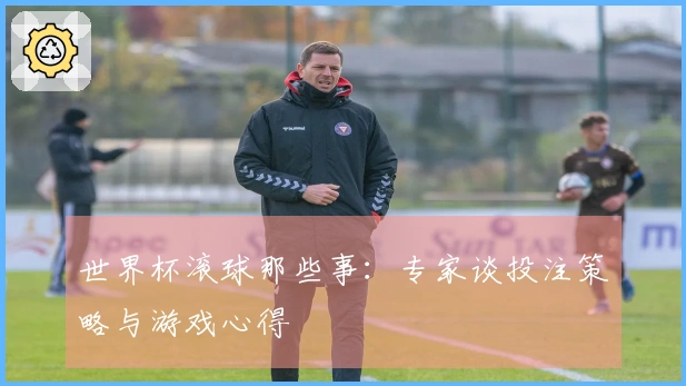 世界杯滚球那些事：专家谈投注策略与游戏心得