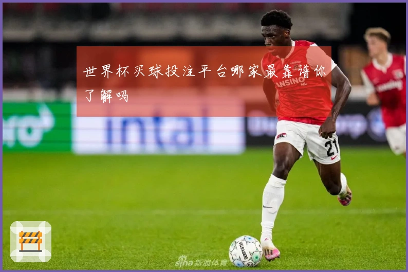 世界杯买球投注平台哪家最靠谱你了解吗