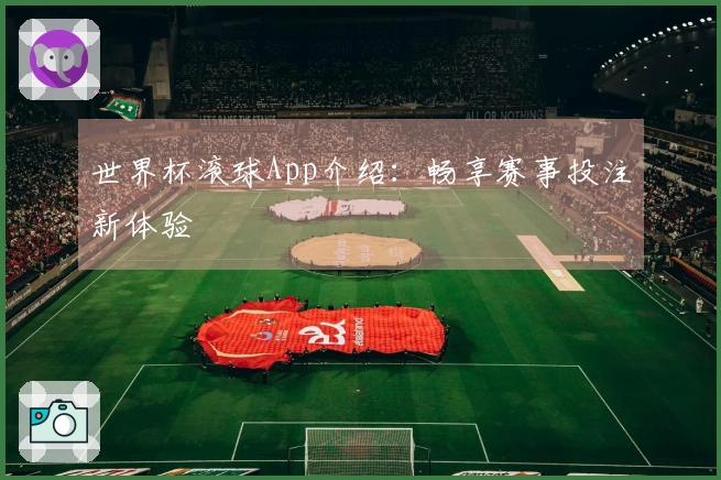 世界杯滚球App介绍：畅享赛事投注新体验