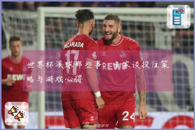 世界杯滚球那些事：专家谈投注策略与游戏心得