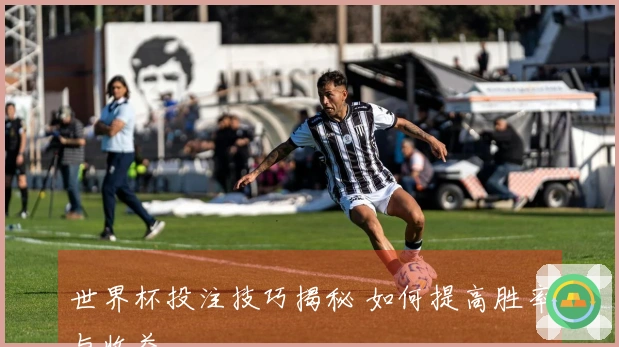 世界杯投注技巧揭秘 如何提高胜率与收益